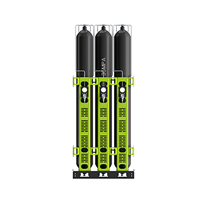 High pressure gas storage system
